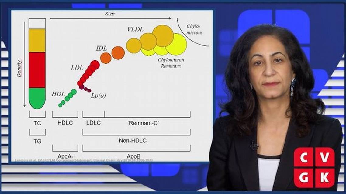 Bepalen van residueel lipidenrisico met geavanceerd testen
