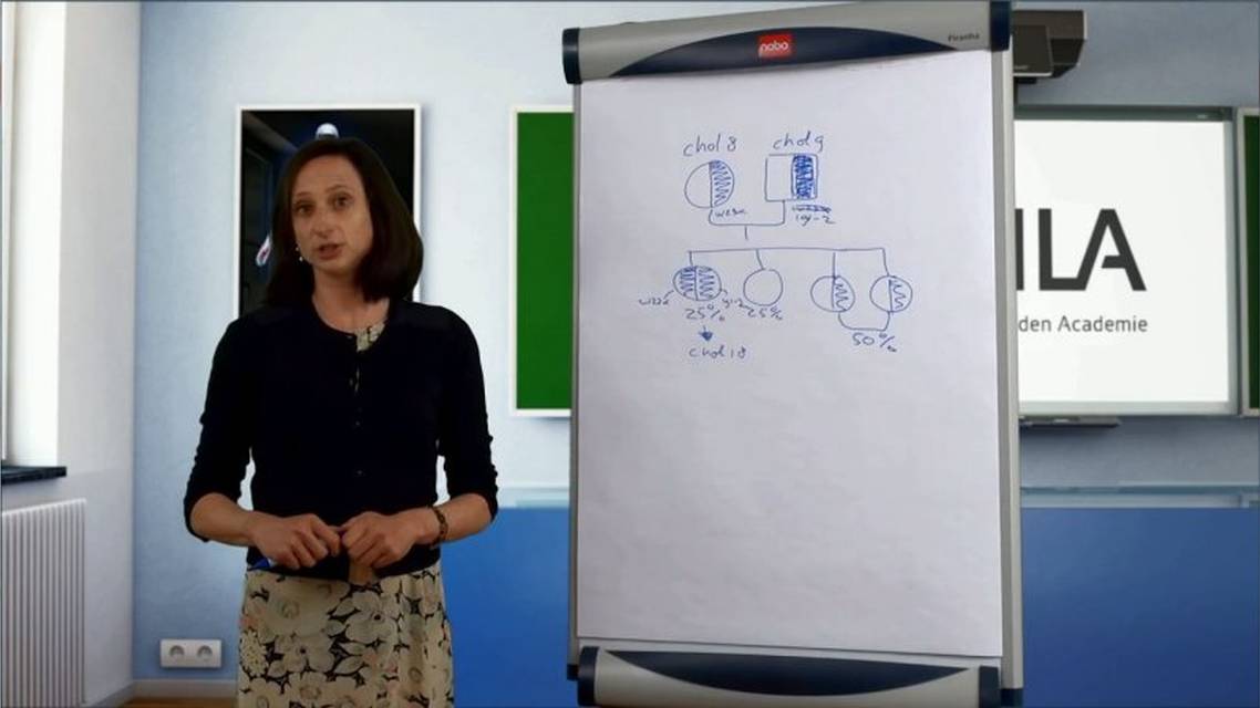 Homozygote FH wat is het en hoe vaak komt het voor