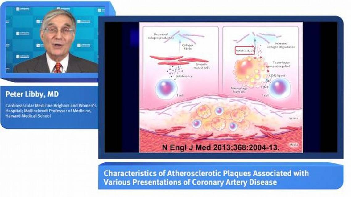 Veranderende kijk op mechanismen van ACS