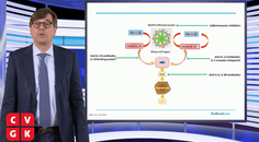 Colchicine een veelbelovend medicijn om CVD te verlagen