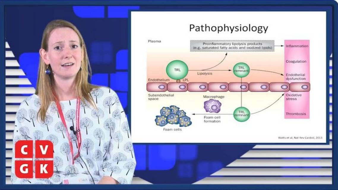 Familiaire dysbetalipoprotenemie pathofysiologie diagnose en behandeling