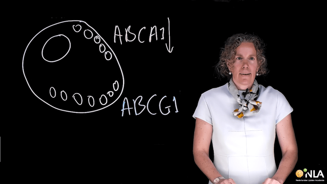 Effecten van cholesterolophoping in macrofagen op inflammatie