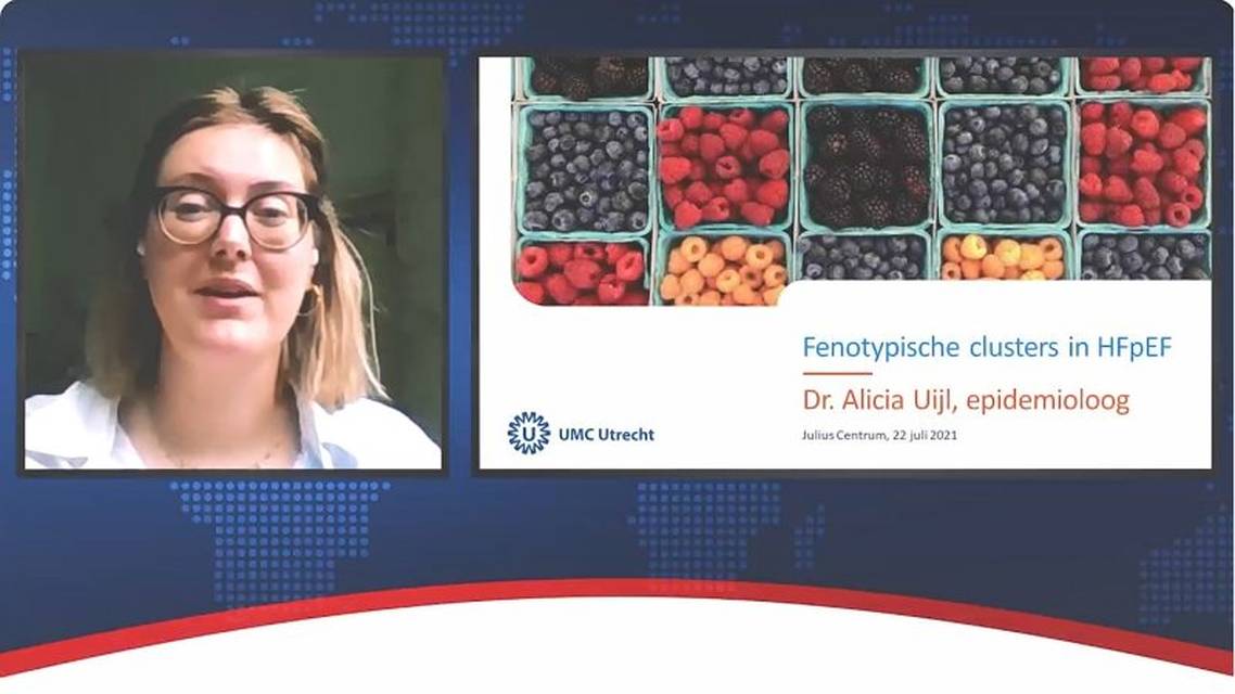 Fenotypische clusters in HFpEF
