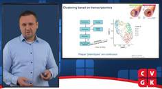 Innovatie op het gebied van atherosclerosebehandeling stratificeren van plaques