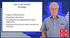 IJzergebrek in hartfalen doet het er toe