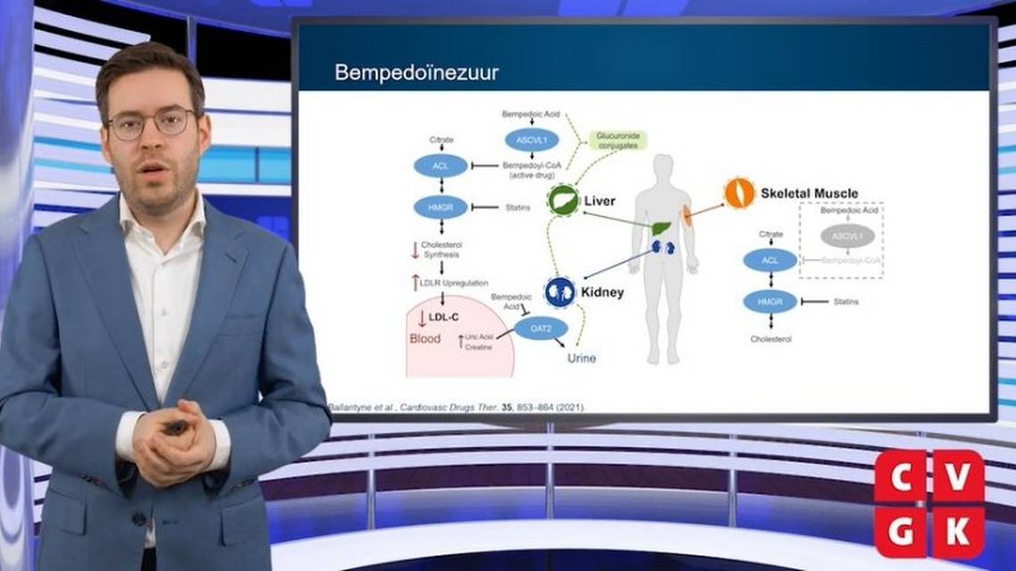 Lipidenmanagement en de potentile rol van bempedonezuur