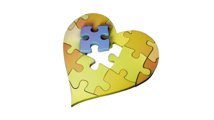 Voorjaarsbijeenkomst Hartfalen