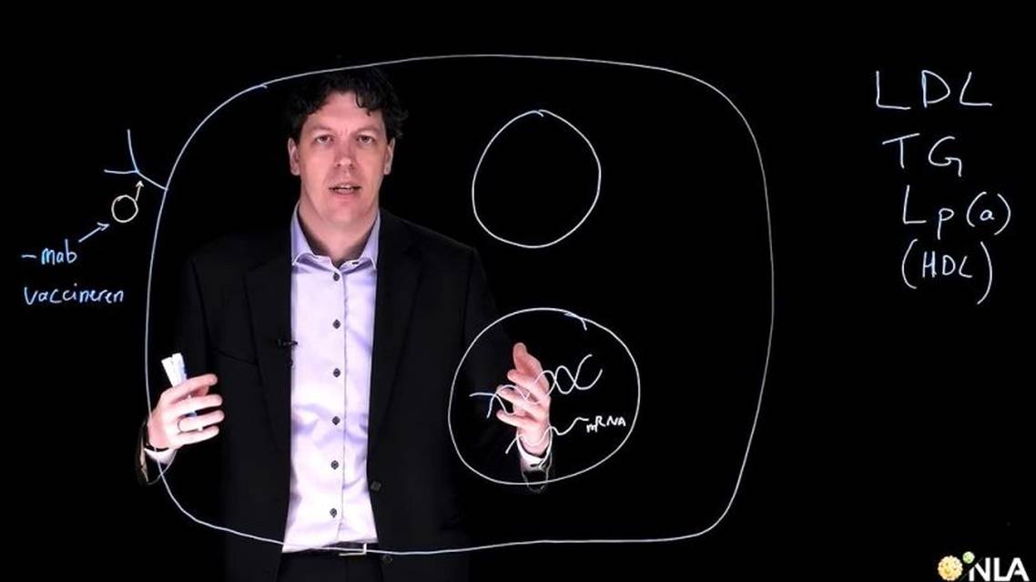 Vette ontwikkelingen in lipidenland van pillen tot gentherapie