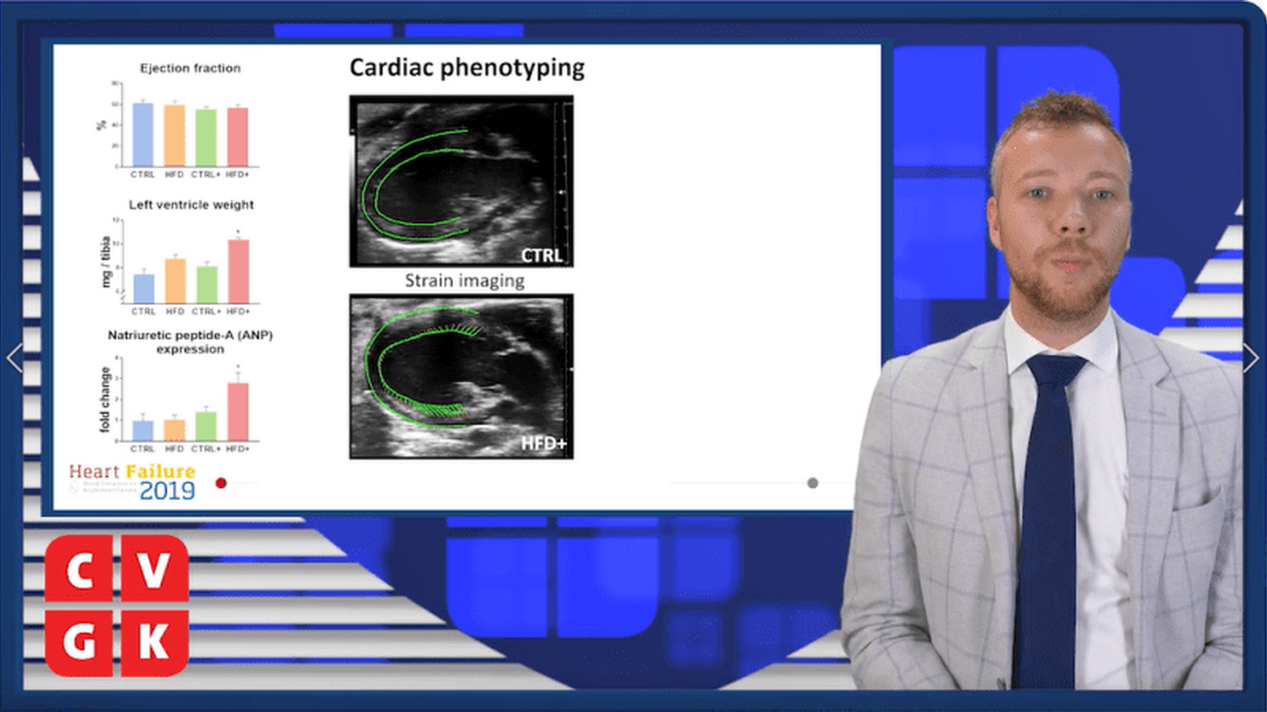 Nieuw muismodel voor HFpEF