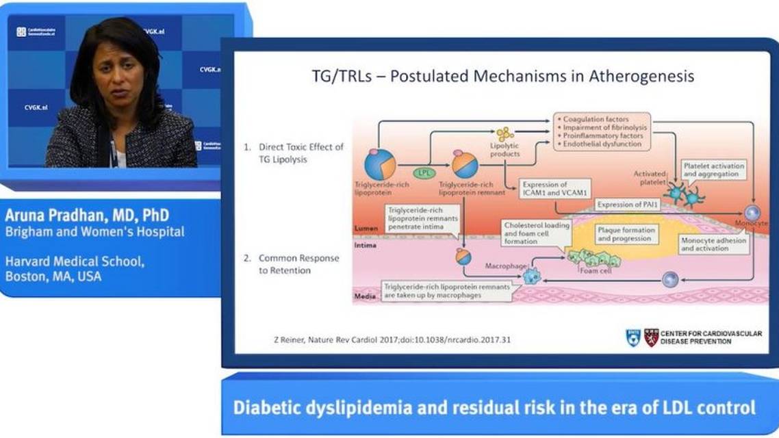 Diabetische dyslipidemie en resterend risico in het tijdperk van LDLcontrole