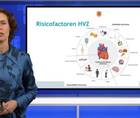 Insulineresistentie als mogelijke gemeenschappelijke noemer van HVZrisico