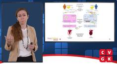 Verschillende pathofysiologische pathways bij vrouwen en mannen met hartfalen