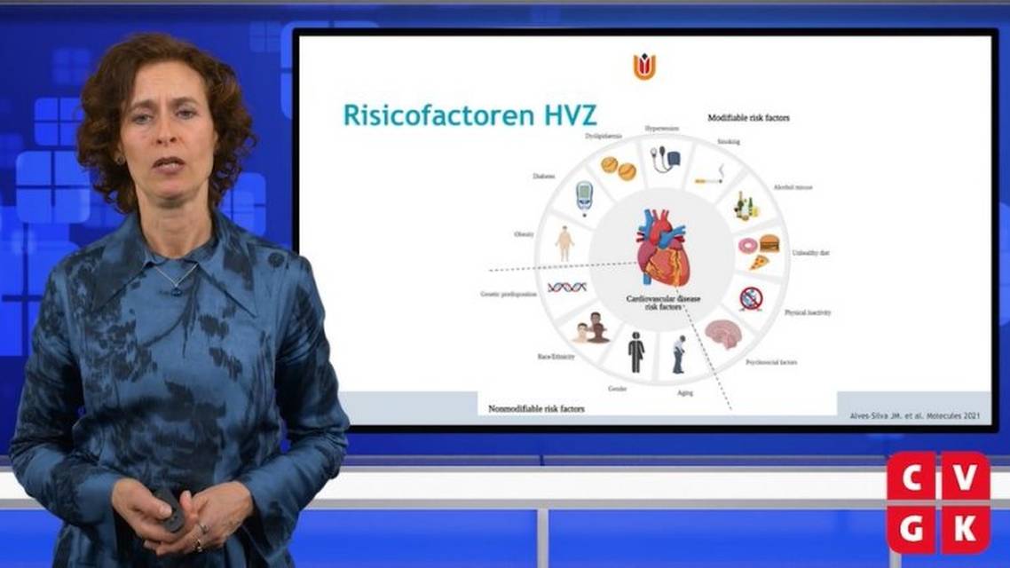 Insulineresistentie als mogelijke gemeenschappelijke noemer van HVZrisico