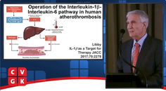 Rol van inflammatie bij atherosclerose