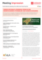 CVGK_2eNLA_final.pdf (0,7MB)